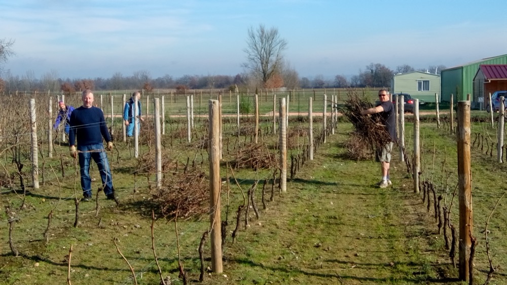Ferme-vigne