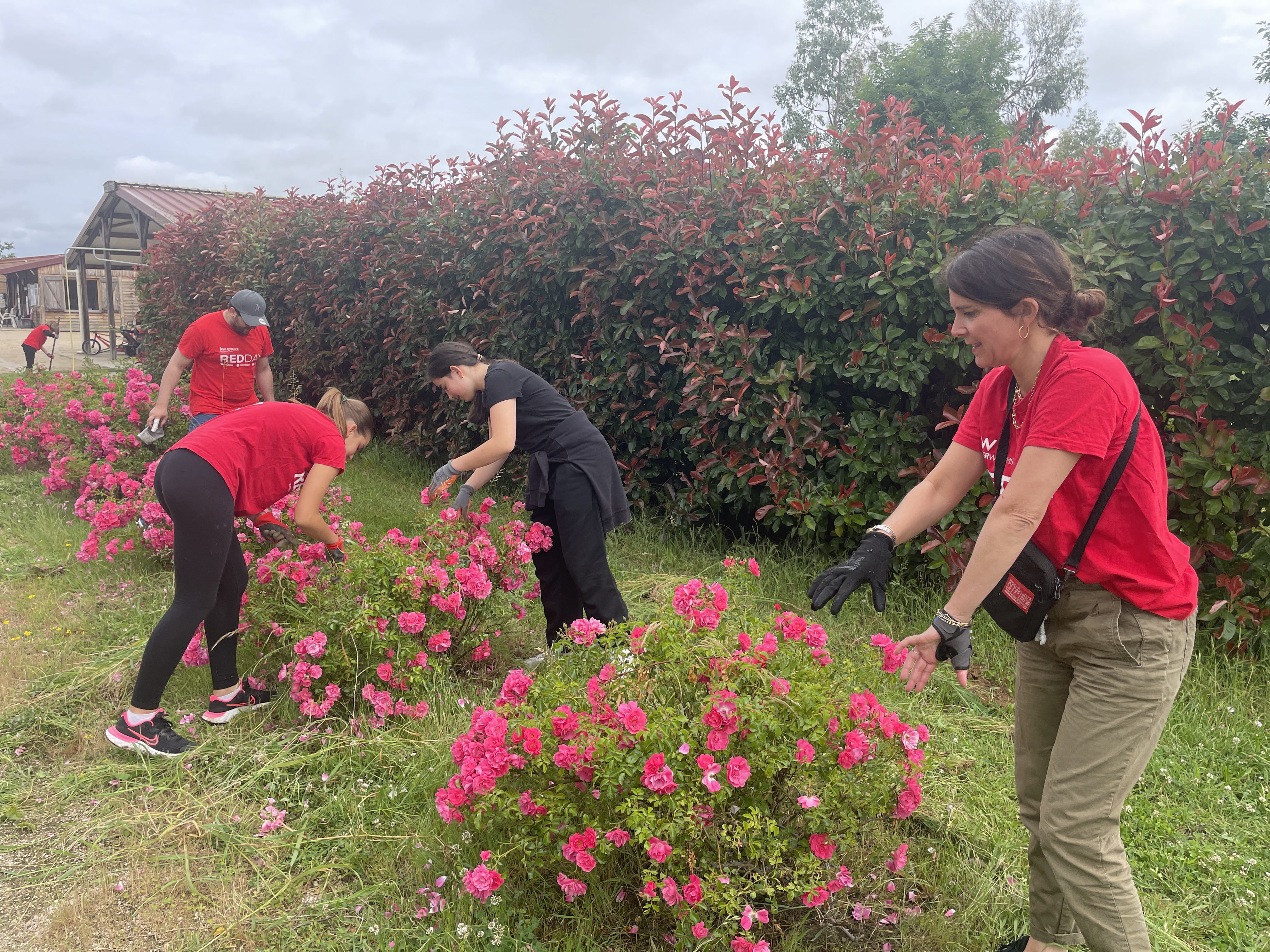 IMG_4666